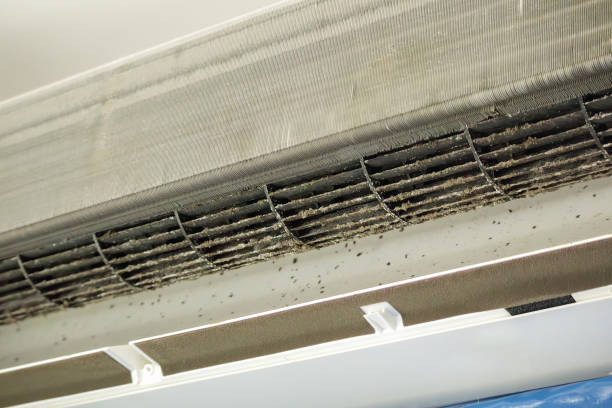Best HVAC System Cleaning  in Derby, CT